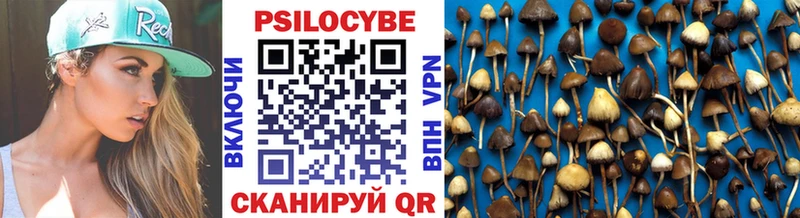 закладки  Петровск  Галлюциногенные грибы MAGIC MUSHROOMS 